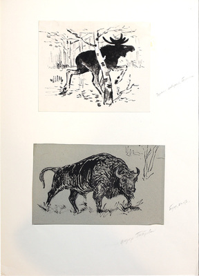 Глебов Фёдор Петрович. Лот из двух иллюстраций «Лось» и «Бык», закрепленных на одном паспарту 